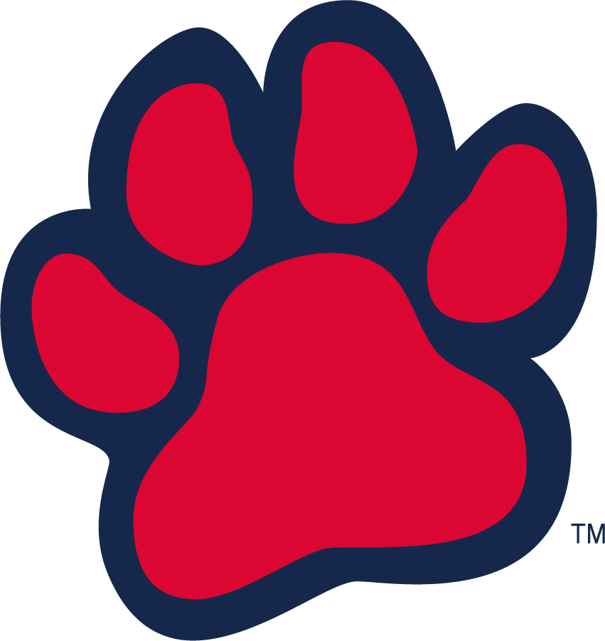 Fresno State Bulldogs 2016-2020 Alternate Logo t shirts iron on transfers